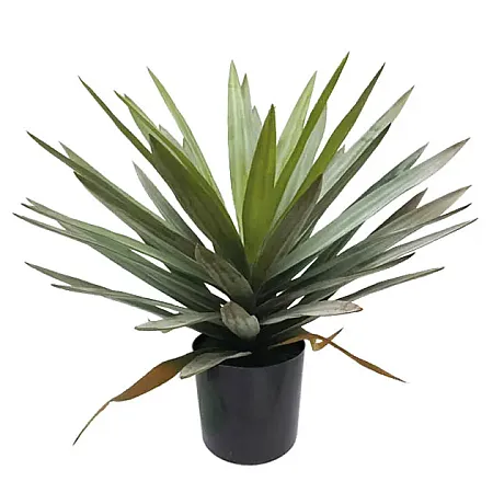 images/uploads/19261/thumb_04-00-18798 blackpot.webp